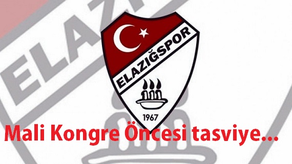 GÖZLER MALİ KONGREDE