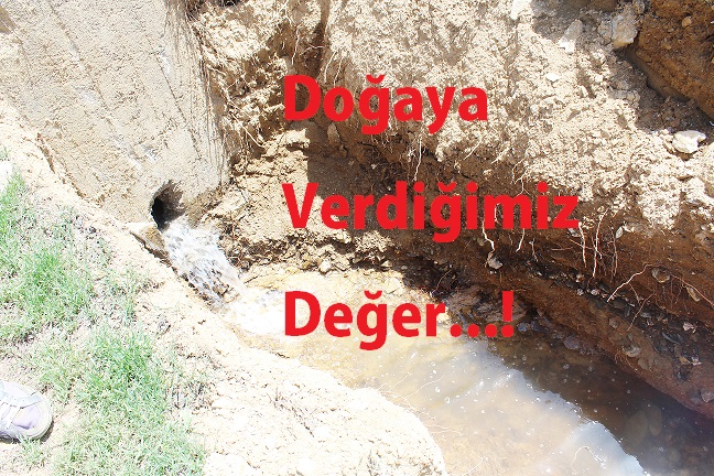 HAZAR GÖLÜ ARTIK PİS KOKMAYACAK!