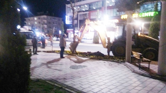 PROJE İÇİN AĞAÇ FALAN DİNLEMİYOR