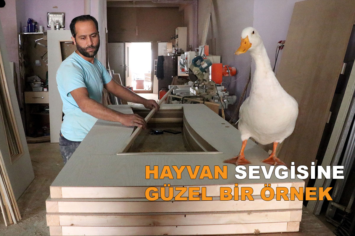 MOBİLYA USTASININ "BONCUK"LA DOSTLUĞU