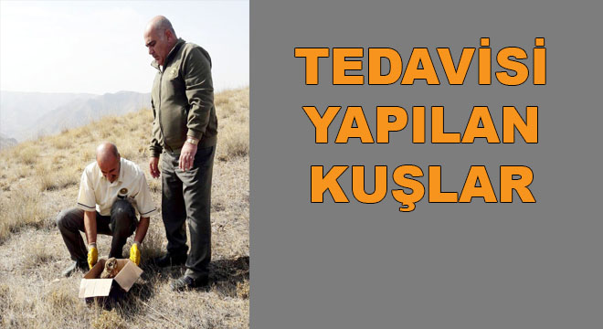 DOĞAYA BIRAKILDI