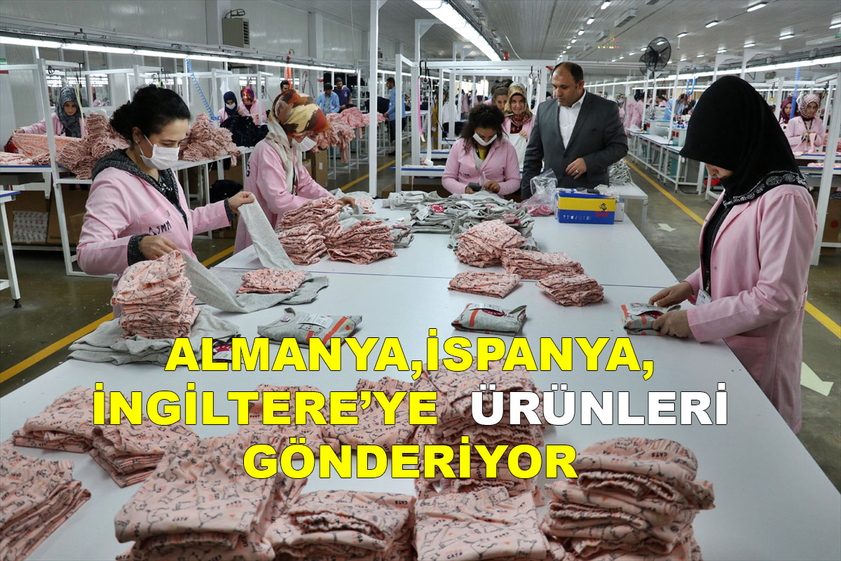 ELAZIĞ'DAN AVRUPA'YA İHRACAT