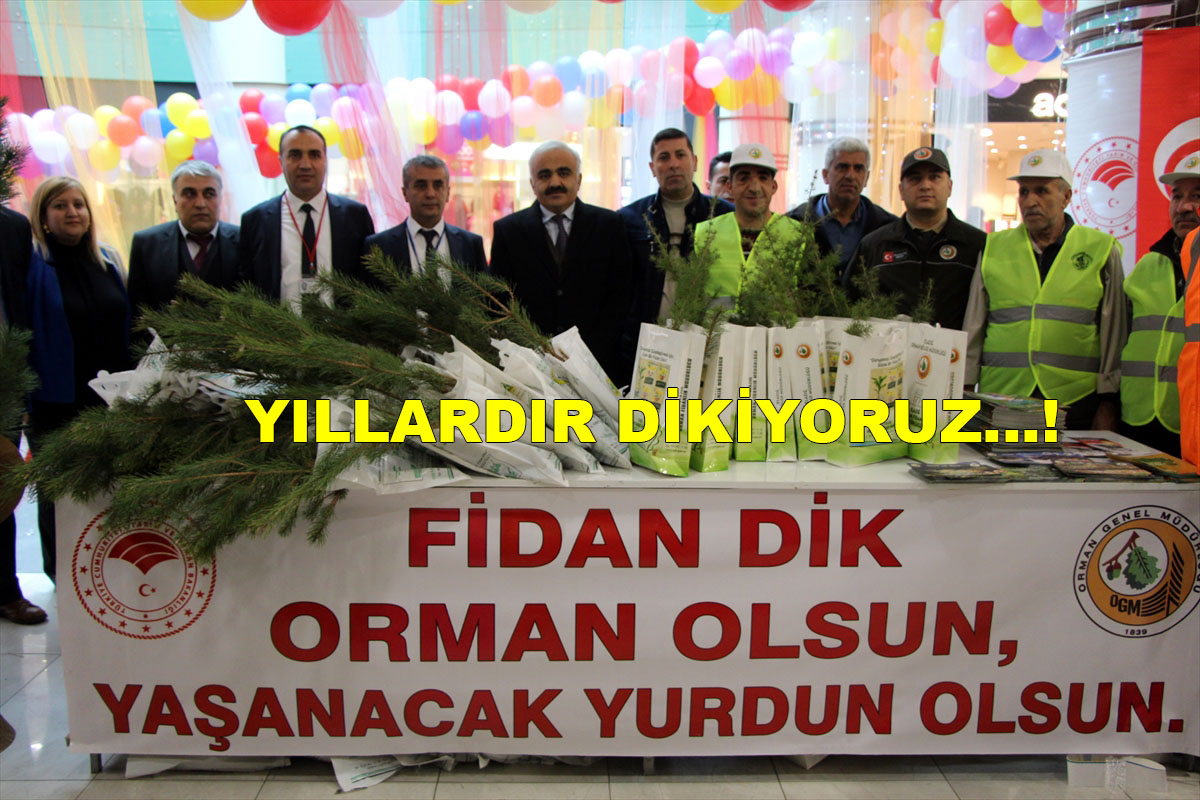 DAĞLARIMIZ NEDEN YEŞİLE KAVUŞAMADI?