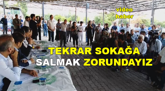 SOKAK KÖPEKLERİ İÇİN MÜCADELE EDİYORUZ
