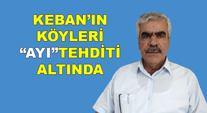 SORUNU ÇÖZMEK YERİNE "AYI"LARA ALIŞSINLAR DENİLMİŞ...