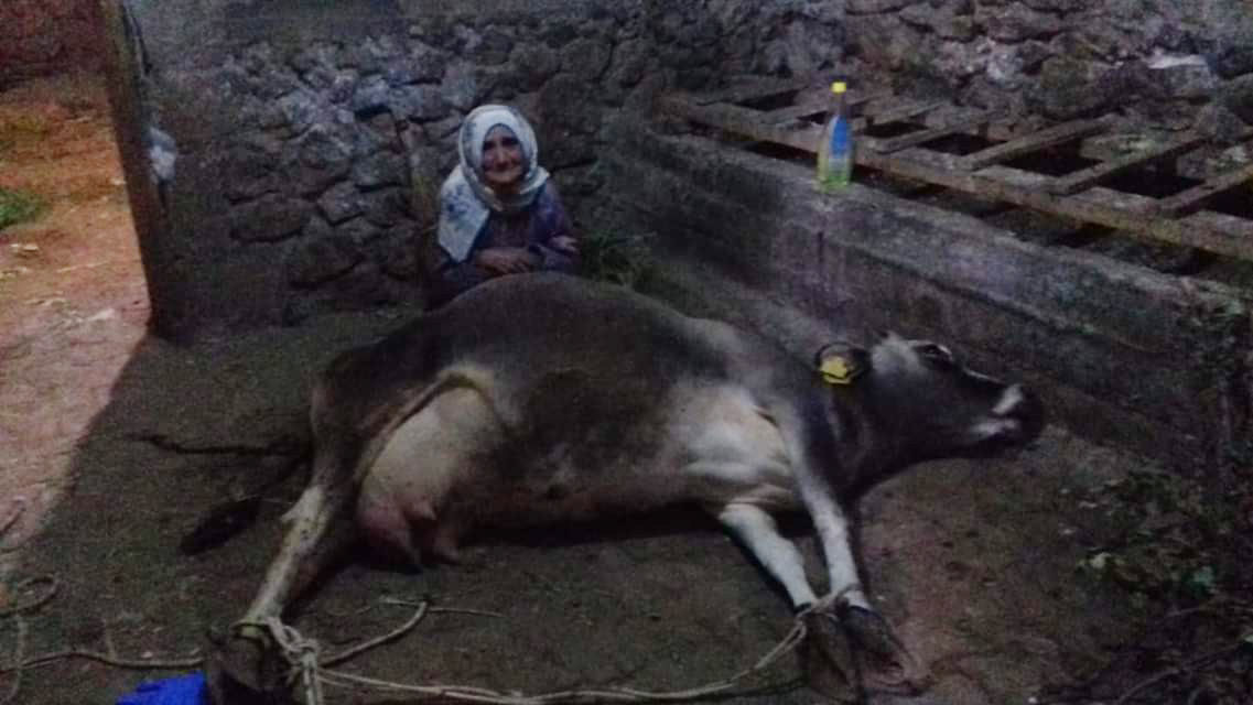 YAŞLI KADINA VALİ DESTEĞİ