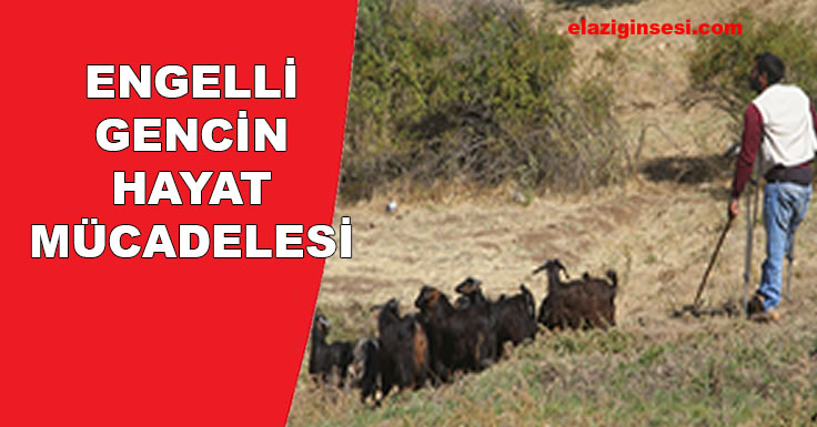 ENGELLİ GENCİN HAYAT MÜCADELESİ