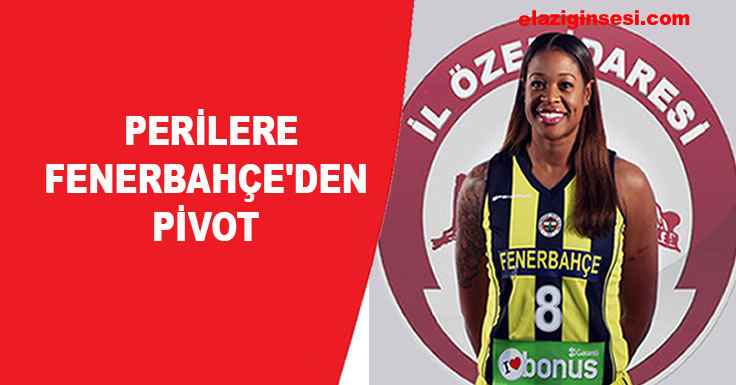 PERİLERE FENERBAHÇE'DEN PİVOT