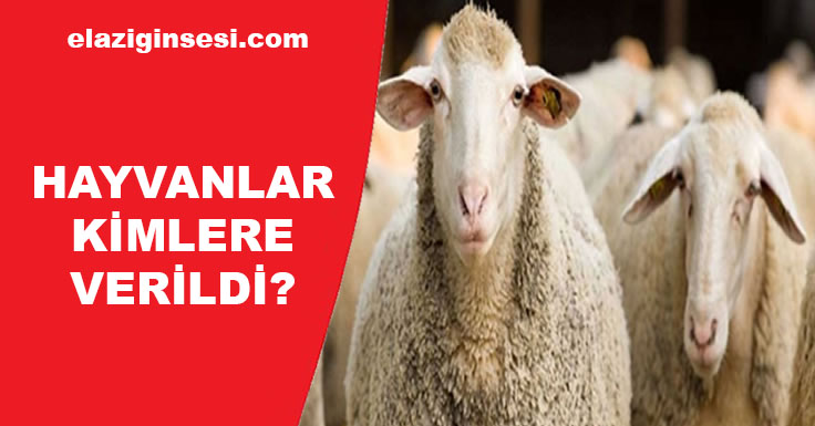 HAYVANLAR KİMLERE VERİLDİ?