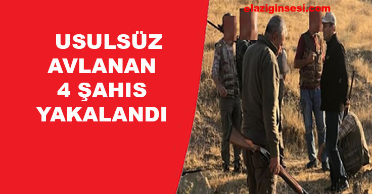 USULSÜZ AVLANAN 4 ŞAHIS YAKALANDI