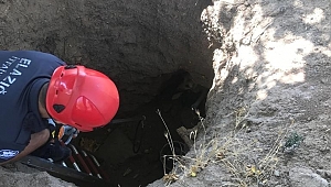 DEFİNECİLERİN AÇTIĞI KUYUYA DÜŞEN KÖPEK KURTARILDI