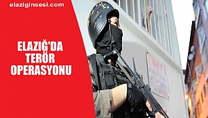  ELAZIĞ'DA TERÖR OPERASYONU: 14 GÖZALTI