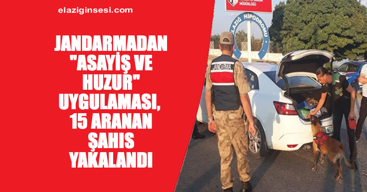 ARANAN 15 ŞAHIS YAKALANDI