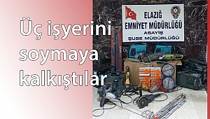HIRSIZLIĞA KATILAN 3 KİŞİ YAKALANDI
