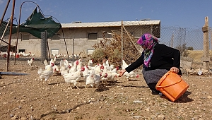 HOBİYİ, ÇİFTLİĞE ÇEVİREN ÇİFT, 