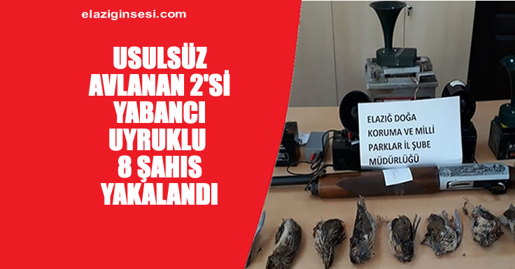 JANDARMA EKİPLERİ USULSÜZ AVLANMAYA GÖZ AÇTIRMIYOR