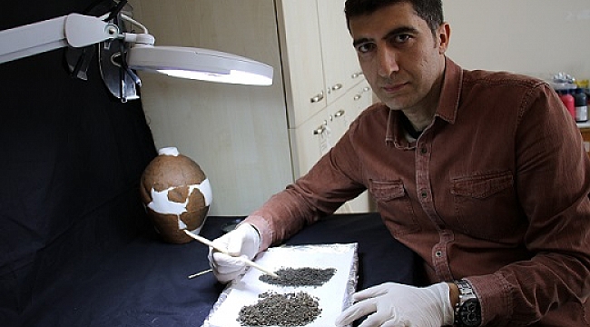 BUĞDAY TANELERİ 4500 YILLIK ÇIKTI