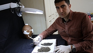 BUĞDAY TANELERİ 4500 YILLIK ÇIKTI