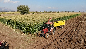  ELAZIĞ'DA 16 BİN DEKARDA EKİLEN İKİNCİ ÜRÜNDE BEREKET