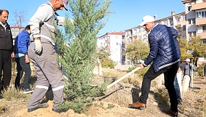  MEZARLIK ALANLARINDA 5 BİN FİDAN TOPRAKLA BULUŞUYOR