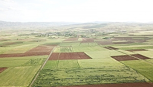 304 BİN 391 DEKAR ALANDA TOPLULAŞTIRMA GERÇEKLEŞTİRİLDİ