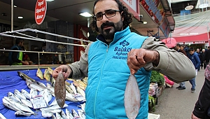 DENİZ İLE GÖL BALIĞI REKABETİ