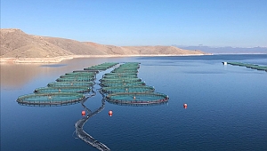 JETRO İŞBİRLİĞİNDE SU ÜRÜNLERİ SEKTÖRÜ SAHA ZİYARETLERİ DÜZENLENDİ