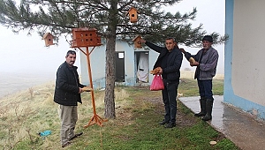 KÖYE 350 ADET KUŞ EVİ ASILDI