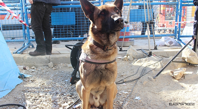 DİLEK APARTMANI'NDA 5 KİŞİYE ALTAR SAYESİNDE ULAŞILDI