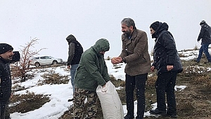 AVCILAR HAYVANLARA YEM BIRAKTI