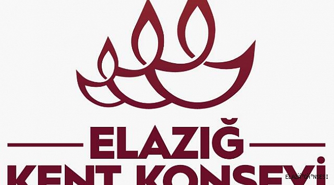 "ELAZIĞ'A ÖZEL KANUN ÇIKARILSIN"