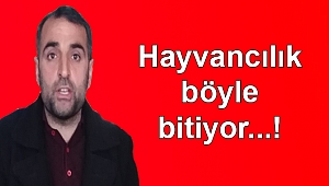 VATANDAŞIN FERYADINI DEVLET SEYREDİYOR 