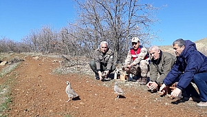 14 KEKLİK VE YASA DIŞI AVDA KULLANILAN MALZEMELER ELE GEÇİRİLDİ
