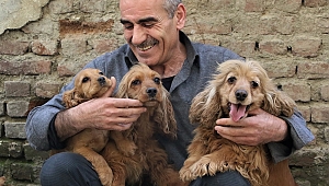 DEPREMZEDENİN KÖPEK SEVGİSİ, ONLARDAN AYRILAMIYOR