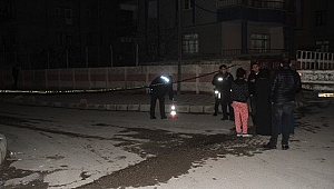 KAVGADA 2 KİŞİ YARALANDI