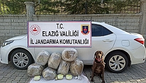 62 Kğ toz esrar ele geçirildi