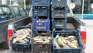 700 Kg kaçak balık yakalandı