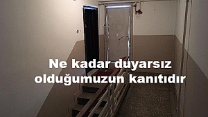 Bu kadarına da pes...!