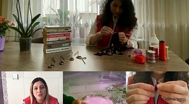 Gençlik liderleri tarafından online eğitim verecek