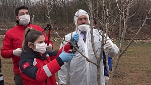 Vatandaşın ağaç budamasını yaptı