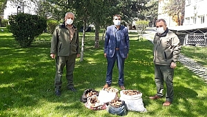 6 Kişiye toplam 461.382 Tl para cezası 