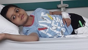 6 yaşındaki Taha'nın beyin tümörü küçüldü