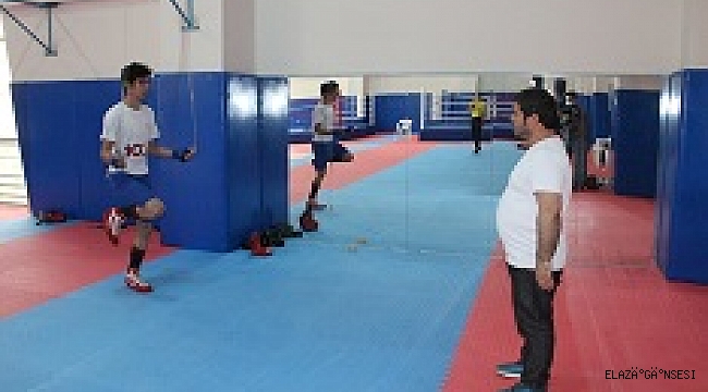 Boksörler eski performanslarını yakalayacak