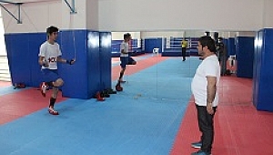 Boksörler eski performanslarını yakalayacak