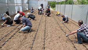 Elazığ'da Okul bahçesine serada sebze fidesi diktiler