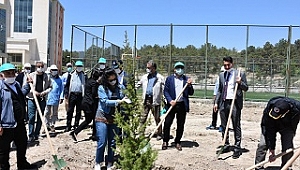 Elazığ'da sağlık çalışanları için hatıra ormanı