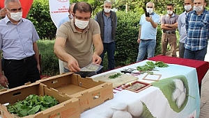  İpek böceği yumurtaları çiftçilere dağıtıldı