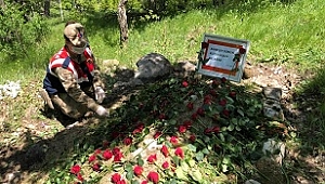 Kızı talep etti, Mehmetçik kabri güllerle donattı