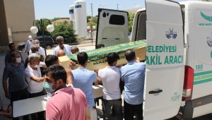 Elazığ'daki kadın cinayeti