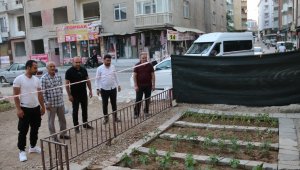 Depremde hasar alıp yıkılan binanın yeri bahçe oldu